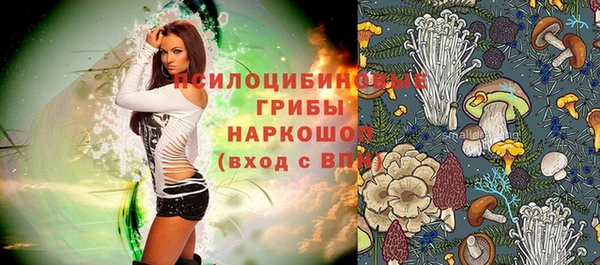 гидра Нягань