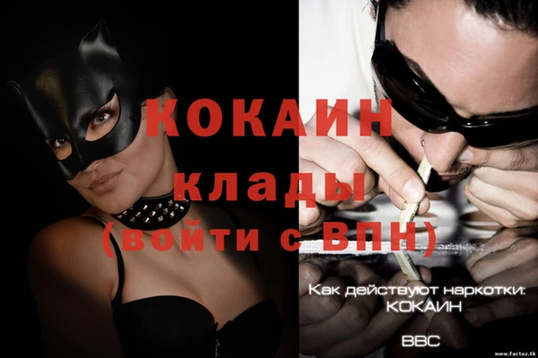 гидра Няндома
