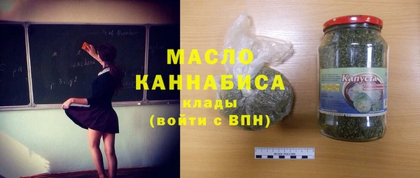 гидра Няндома