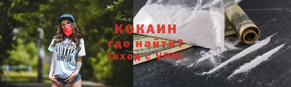 гидра Няндома