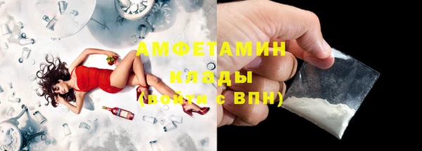 гидра Няндома