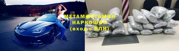 гидра Няндома