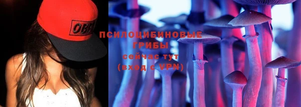 гидра Нягань