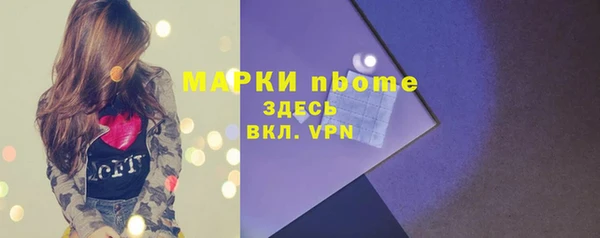 гидра Няндома