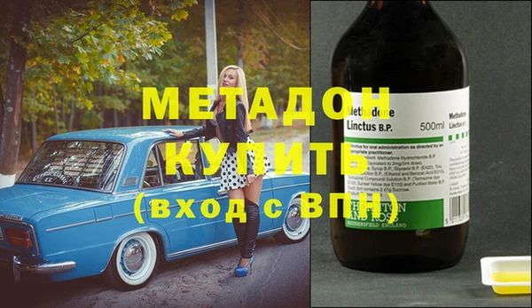 гидра Няндома