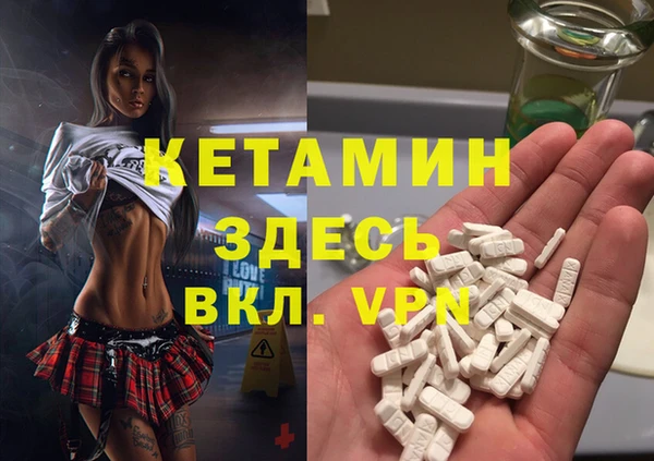 гидра Няндома