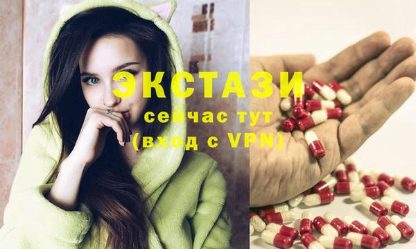 гидра Няндома