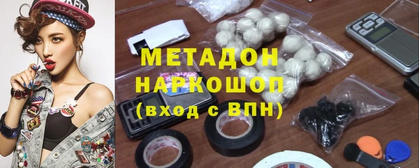 гидра Няндома