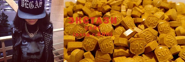 гидра Няндома