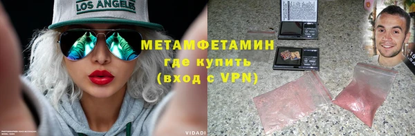 гидра Няндома