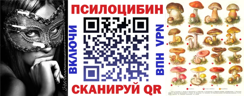 сколько стоит  Горбатов  Галлюциногенные грибы прущие грибы 